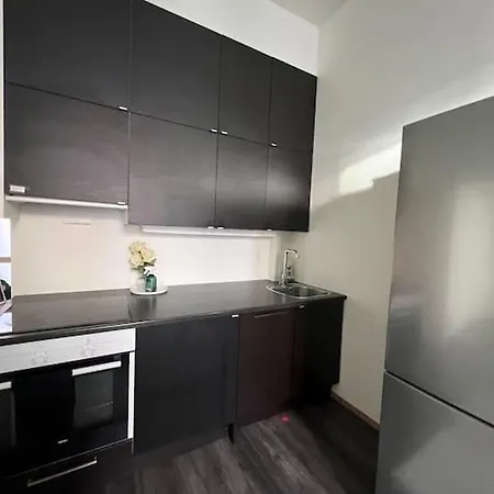 Super Sentral Leilighet, Rett Ved S Apartman